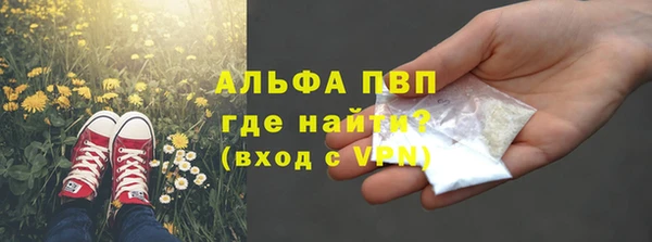 сатива Алексеевка