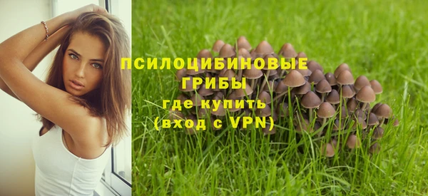 стафф Алзамай