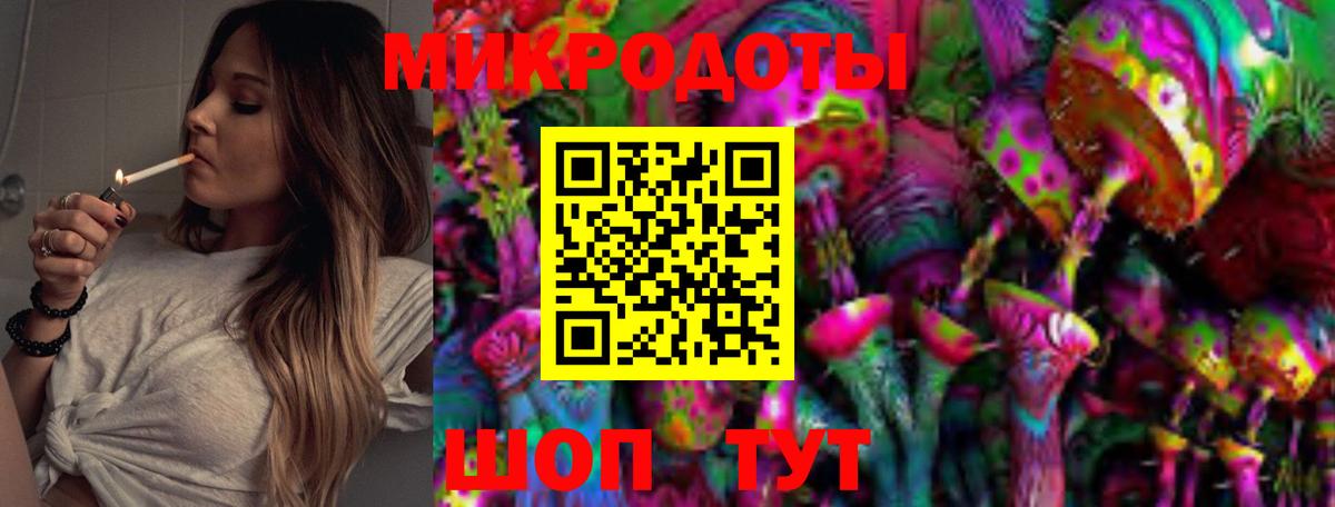 Галлюциногенные грибы Psilocybine cubensis  Вход с VPN  наркота  Прохладный 